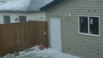 Hail punches holes in siding of homes as Calgary sees 'catastrophic damage' from severe thunderstorms