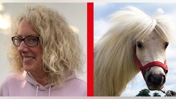 Horse sanctuary matches people's DIY haircuts to horse manes: 'Brilliantly accurate'