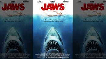‘Jaws’ at 50: How ‘perfect film’ drove public fascination with sharks and still makes us afraid to swim