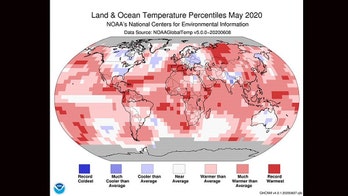 May 2020 tied the hottest May on record, forecasters say