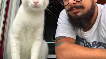 Women find single men with cats less attractive, new study suggests