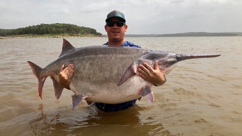 Oklahoma angler snags possible world record-breaking paddlefish, officials say