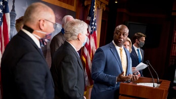 Senate Republicans unveil police reform legislation: 'We hear you'