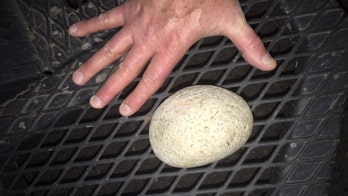 Portland police declare civil disturbance, 10 arrested, after night of looting, protesters injuring officers