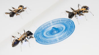 How swarms of autonomous insect robots could help explore other planets