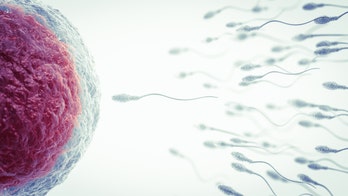 Women have very judgmental eggs when it comes to sperm, study finds