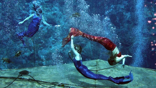 Florida's Weeki Wachee, known for its mermaids, dissolved 54 years after its creation