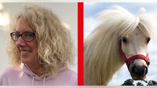 Horse sanctuary matches people's DIY haircuts to horse manes: 'Brilliantly accurate'