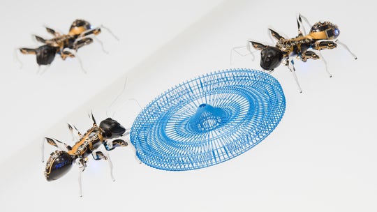 How swarms of autonomous insect robots could help explore other planets
