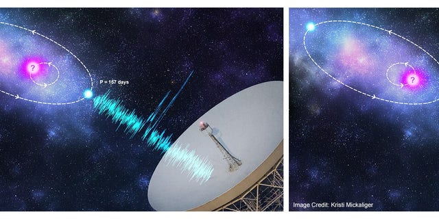 艺术家对轨道调制模型的印象，其中FRB祖先（蓝色）与伴生天体（粉红色）一起进入轨道。 （来源：克里斯蒂·米卡利格）
