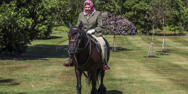 Queen Elizabeth II rode Balmoral Fern, a 14-year-old Fell Pony, in Windsor Home Park over the weekend at the end of May 2020.