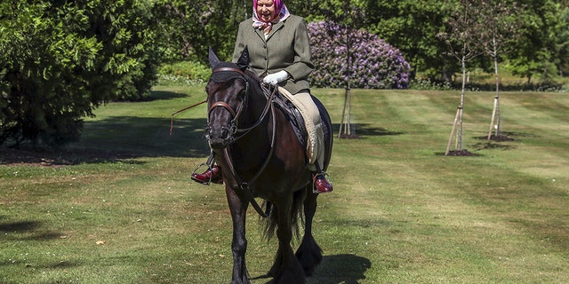 In this photo released on Sunday, May 31, 2020, Queen Elizabeth II is pictured riding Balmoral Fern, a 14-year-old Fell Pony, in Windsor Home Park. She reportedly had her first lesson at age three and received her first pony at age four.