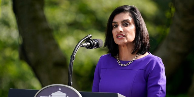 In this May 26, 2020, file photo Administrator of the Centers for Medicare and Medicaid Services Seema Verma speaks at an event on protecting seniors with diabetes in the Rose Garden White House in Washington. (AP Photo/Evan Vucci, File)