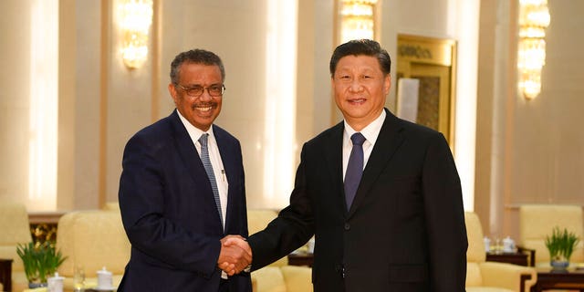 FILE - In this Jan. 28, 2020, file photo, Tedros Adhanom, director general of the World Health Organization, left, shakes hands with Chinese President Xi Jinping before a meeting at the Great Hall of the People in Beijing. (Naohiko Hatta/Pool Photo via AP, File)
