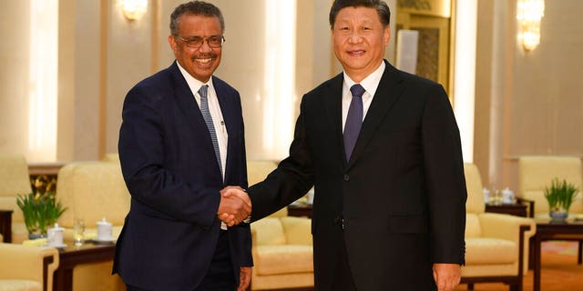 FILE - In this Jan. 28, 2020, file photo, Tedros Adhanom, director general of the World Health Organization, left, shakes hands with Chinese President Xi Jinping before a meeting at the Great Hall of the People in Beijing. (Naohiko Hatta/Pool Photo via AP, File)