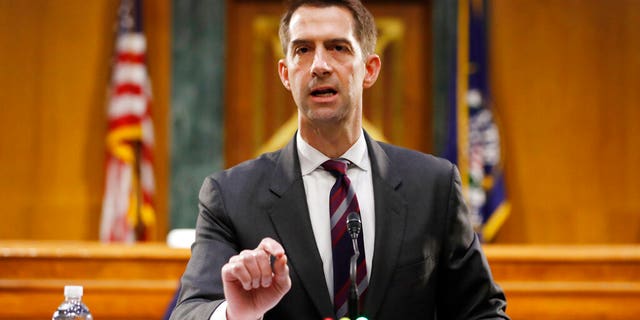 FILE - In this May 5, 2020, file photo Sen. Tom Cotton, R-Ark., speaks during a Senate Intelligence Committee nomination hearing for Rep. John Ratcliffe, R-Texas, on Capitol Hill in Washington. Cotton is on President Trump's Supreme Court list. (AP Photo/Andrew Harnik, Pool, File)