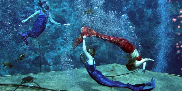 Performers with the Weeki Wachee mermaid attraction practice in Weeki Wachee, Fla. The city was dissolved Tuesday.