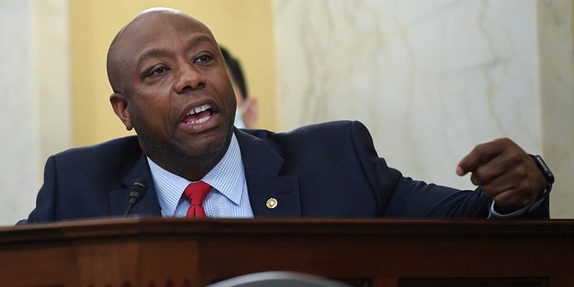 Sen. Tim Scott, R-S.C., speaks during a Senate Small Business and Entrepreneurship hearing to examine implementation of Title I of the CARES Act, Wednesday, June 10, 2020 on Capitol Hill in Washington. (Kevin Dietsch/Pool via AP)