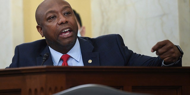 Sen. Tim Scott, R-S.C., speaks during a Senate Small Business and Entrepreneurship hearing to examine implementation of Title I of the CARES Act, Wednesday, June 10, 2020 on Capitol Hill in Washington. (Kevin Dietsch/Pool via AP)