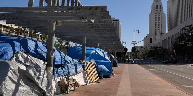 A homeless encampment atop the Main Street overpass of the 101 freeway during the coronavirus outbreak in downtown Los Angeles. (AP Photo/Mark J. Terrill, File)