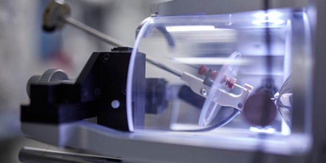 Researchers used mass spectrometry to identify biomarker profiles in blood that can be used to classify disease severity and progression in patients with COVID-19.