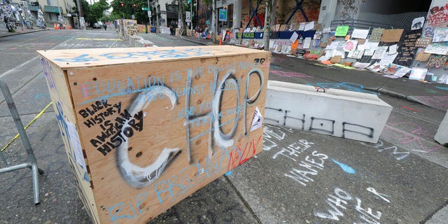 Father sues Seattle over son's 2020 death inside 'CHOP' protest zone ...