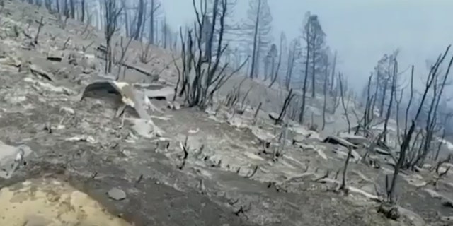 Aftermath of the East Canyon wildfire near the town of Mancos, Colo., on June 16.