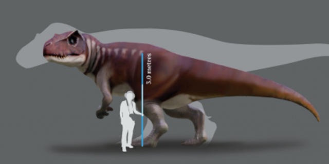 A reconstruction of a Jurassic dinosaur track-maker from southern Queensland in front of a silhouette of the largest known T. rex.