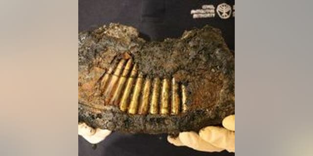 Full magazine of a Bren machine gun discovered near the Western Wall.