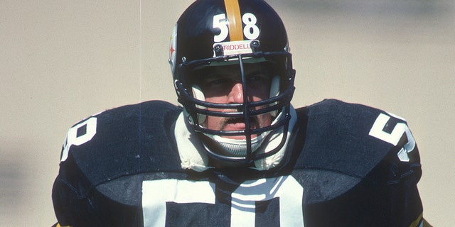 Jack Lambert #58 of the Pittsburgh Steelers looks on against the Cincinnati Bengals during an NFL football game December 4, 1983 at Three Rivers Stadium in Pittsburgh, Pennsylvania. Lambert played for the Steelers from 1974-84. (Photo by Focus on Sport/Getty Images)