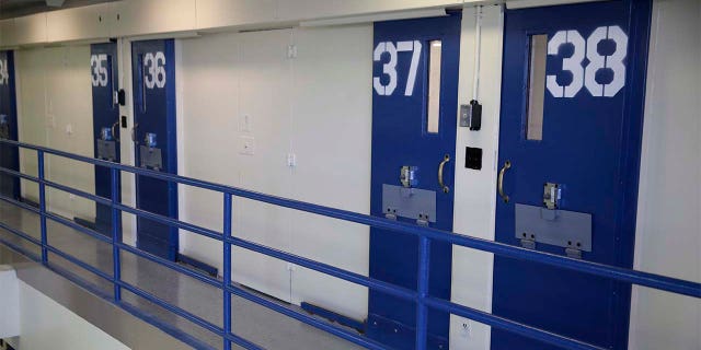 In this March 12, 2015 file photo, numbered doors of enhanced supervision housing unit, also commonly known as solitary confinement, are shown at the Rikers Island jail complex n New York.