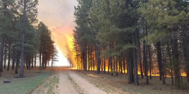 The Mangum Fire has grown to some 29,689 acres in Kaibab National Forest.
