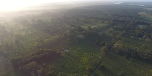 An aerial view of Aguada Fenix's Main Plateau and the ramps connecting to causeways. In this photo, the site is viewed from the northwest.