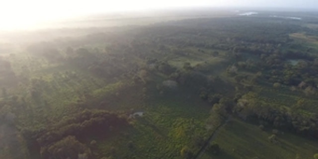 An aerial view of Aguada Fenix's Main Plateau and the ramps connecting to causeways. In this photo, the site is viewed from the northwest.