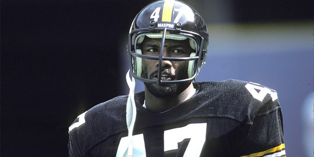 Cornerback Mel Blount won four Super Bowl titles with the Steelers. (Photo by George Gojkovich/Getty Images)