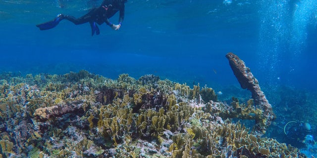 Underwater archaeologists explore the remains of the shipwreck from more than 200 years ago.