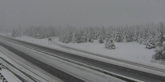 Snow falls in Homestake Pass on Interstate 90 in Montana on June 8, 2020.