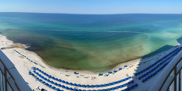 The freshwater that discharged into the Gulf of Mexico on Monday appears darker because it contains dark-colored tannins, according to city officials..