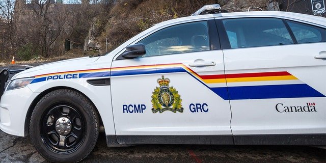 Police in Nova Scotia shoot pit bull after person killed in attack