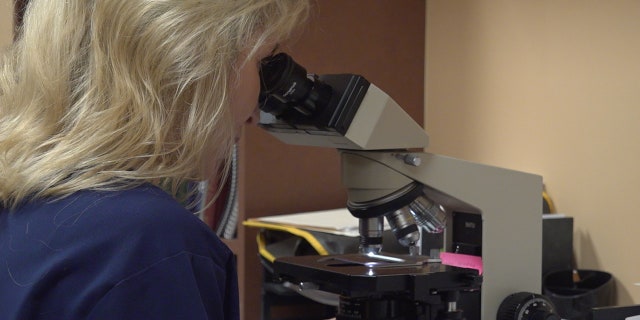 Dr. Romine treats thousands of skin cancer patients at her practice in Arizona each and every year (Stephanie Bennett/Fox News).