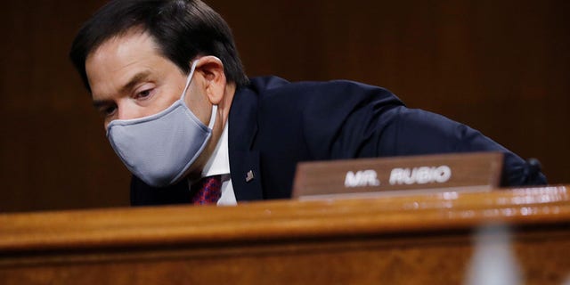 U.S. Sen. Marco Rubio (R-FL) arrives for a Senate Intelligence Committee nomination hearing for Rep. John Ratcliffe (R-TX), on Capitol Hill in Washington, U.S., May 5, 2020. Andrew Harnik/Pool via REUTERS - RC2EIG91O6GI