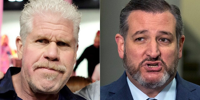 Actor Ron Perlman and Sen. Ted Cruz have challenged each other to various wrestling matches for charity after a an intense Twitter spat broke out.