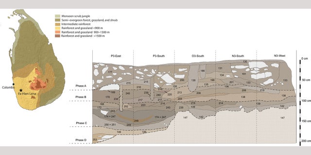 Fig. 1 Find context. Location and stratigraphy of Fa-Hien Lena, Sri Lanka. (Science Advances)