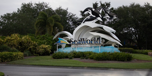 SeaWorld is one of the many attractions that have made Orlando a popular tourist destination. (Charlotte Kesl/Bloomberg via Getty Images)