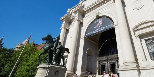 A prominent statue of Theodore Roosevelt will be removed from the entrance of The American Museum of Natural History in New York City, officials announced. (iStock, File)