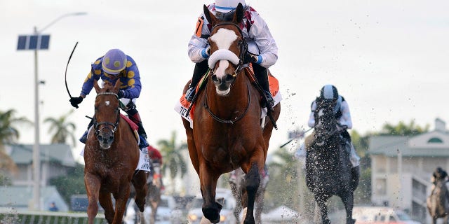 In this March 28, 2020, image provided by Gulfstream Park, Tiz the Law, riddren by Manuel Franco, foreground, runs in the Florida Derby horse race at Gulfstream Park in Hallandale Beach, Fla. (Ryan Thompson/Coglianese Photos, Gulfstream Park via AP)
