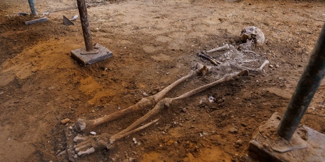 Picture shows human skeletons found in an archaeological excavation carried out by the Hispano-Irish Association in a ruined chapel in Valladolid, that expects to identify the remains of the Irish rebel lord Red Hugh O'Donnell, on May 28, 2020.