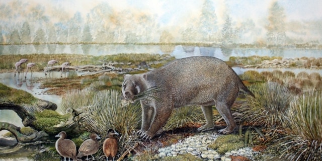 An artist's impression of Mukupirna nambensis.