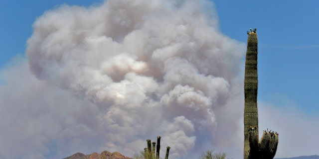 A portion of the Bush fire burns through the Tonto National Forest, June 16, as seen from Apache Junction, Ariz.