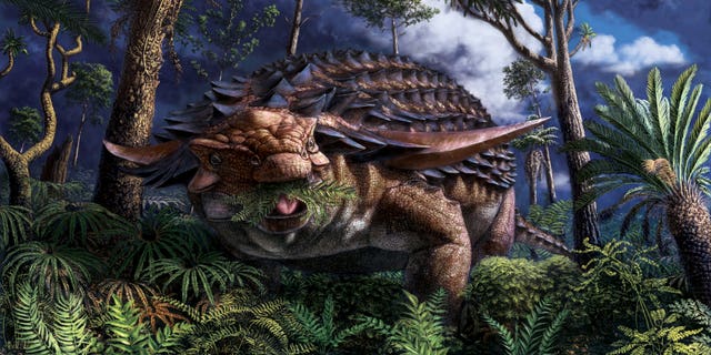 The last supper of an armored dinosaur that died 110 million years ago has been discovered. (Credit: Julius Csotonyi, Royal Tyrrell Museum of Palaeontology)